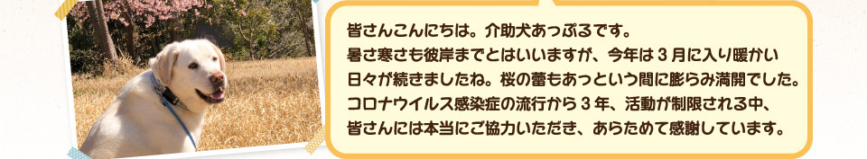 皆さんこんにちは。介助犬あっぷるです。暑さ寒さも彼岸までとはいいますが、今年は3月に入り暖かい日々が続きましたね。桜の蕾もあっという間に膨らみ満開でした。          コロナウイルス感染症の流行から3年、活動が制限される中、
          皆さんには本当にご協力いただき、あらためて感謝しています。