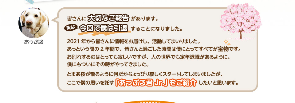 皆さんに大切なご報告があります。実は今回で僕は引退することになりました。