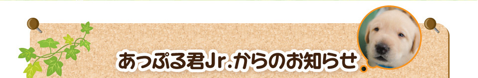 あっぷる君Jr.からのお知らせ