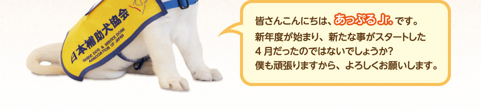 皆さんこんにちは、あっぷるJr.です。新年度が始まり、新たな事がスタートした4月だったのではないでしょうか？僕も頑張りますから、よろしくお願いします。