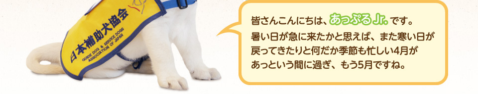 皆さんこんにちは、あっぷるJr.です。暑い日が急に来たかと思えば、また寒い日が戻ってきたりと何だか季節も忙しい4月があっという間に過ぎ、もう5月ですね。