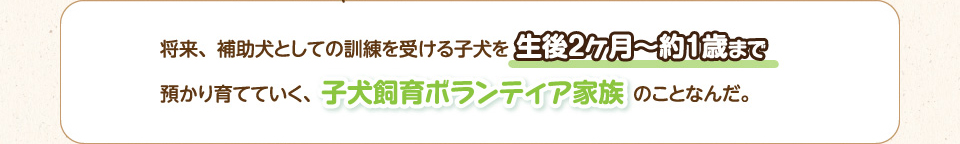 将来、補助犬としての訓練を受ける子犬を生後2ヶ月～約1歳まで預かり育てていく、子犬飼育ボランティア家族のことなんだ。