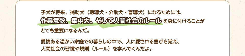 子犬が将来、補助犬（聴導犬・介助犬・盲導犬）になるためには、作業意欲、集中力、そして人間社会のルールを身に付けることがとても重要になるんだ。愛情ある温かい家庭での暮らしの中で、人に愛される喜びを覚え、
        人間社会の習慣や規則（ルール）を学んでくんだよ。