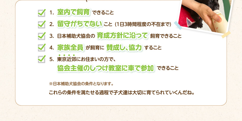 1.室内で飼育できること、2.留守がちでないこと(1日3時間程度の不在まで)、3.日本補助犬協会の育成方針に沿って飼育できること、4.家族全員が飼育に賛成し、協力すること、5.東京近郊にお住まいの方で、協会主催のしつけ教室に車で参加できること
        ※日本補助犬協会の条件となります。これらの条件を満たせる過程で子犬達は大切に育てられていくんだね。