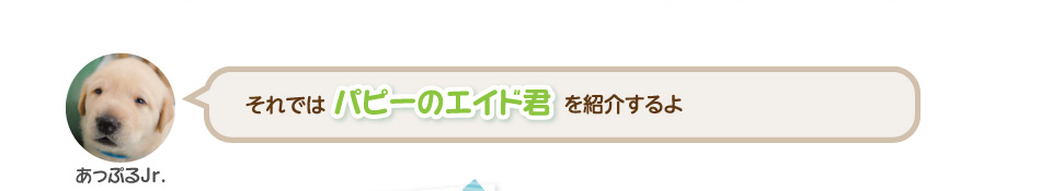 それではパピーのエイド君を紹介するよ