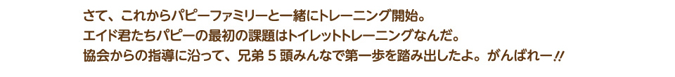 さて、これからパピーファミリーと一緒にトレーニング開始。エイド君たちパピーの最初の課題はトイレットトレーニングなんだ。協会からの指導に沿って、兄弟5頭みんなで第一歩を踏み出したよ。がんばれー！！