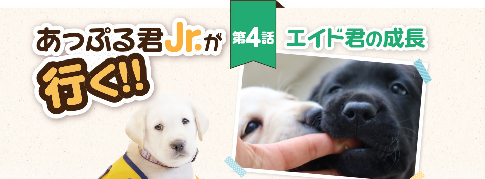 【あっぷる君Jr.が行く！】第4話 エイド君の成長