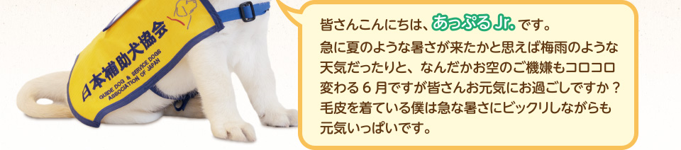 皆さんこんにちは、あっぷるJr.です。急に夏のような暑さが来たかと思えば梅雨のような天気だったりと、なんだかお空のご機嫌もコロコロ変わる6月ですが皆さんお元気にお過ごしですか?毛皮を着ている僕は急な暑さにビックリしながらもa元気いっぱいです。