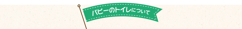 パピーのトイレについて