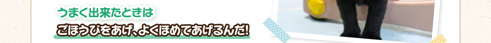 うまく出来たときはごほうびをあげ、よくほめてあげるんだ!