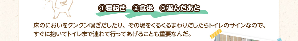 1.寝起き、2.食後、3.遊んだあと　床のにおいをクンクン嗅ぎだしたり、その場をくるくるまわりだしたらトイレのサインなので、すぐに抱いてトイレまで連れて行ってあげることも重要なんだ。