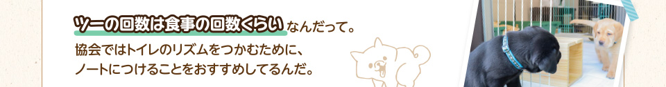 ツーの回数は食事の回数くらいなんだって。協会ではトイレのリズムをつかむために、ノートにつけることをおすすめしてるんだ。