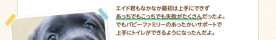 エイド君もなかなか最初は上手にできずあっちでもこっちでも失敗がたくさんだったよ。でもパピーファミリーのあったかいサポートで上手にトイレができるようになったんだよ。