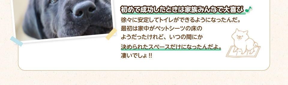 初めて成功したときは家族みんなで大喜び徐々に安定してトイレができるようになったんだ。最初は家中がペットシーツの床のようだったけれど、いつの間にか決められたスペースだけになったんだよ。凄いでしょ!!
