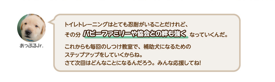 トイレトレーニングはとても忍耐がいることだけれど、その分パピーファミリーや協会との絆も強くなっていくんだ。これからも毎回のしつけ教室で、補助犬になるためのステップアップをしていくからね。さて次回はどんなことになるんだろう。皆応援してね！