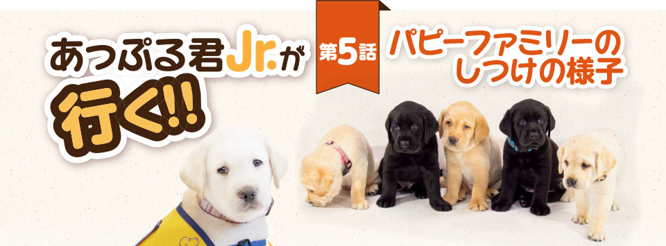 【あっぷる君Jr.が行く！】第5話 パピーファミリーのしつけの様子