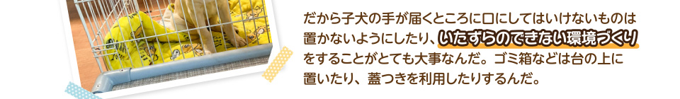 だから子犬の手が届くところに口にしてはいけないものは置かないようにしたり、いたずらのできない環境づくりをすることがとても大事なんだ。ゴミ箱などは台の上に置いたり、蓋つきを利用したりするんだ。