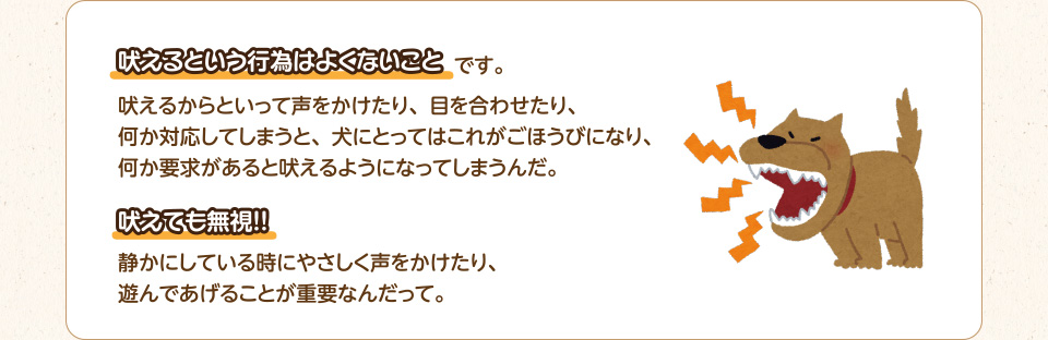 吠えるという行為はよくないことです。吠えるからといって声をかけたり、目を合わせたり、何か対応してしまうと犬にとってはこれがごほうびになり、何か要求があると吠えるようになってまうんだ。吠えても無視！静かにしている時にやさしく声をかけたり、遊んであげることが重要なんだって。