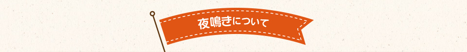 夜鳴きについて