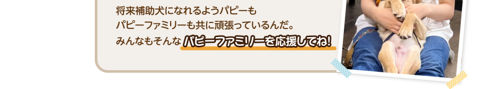 将来補助犬になれるようパピーもパピーファミリーも共に頑張っているんだ。皆もそんなパピーファミリーを応援してね。