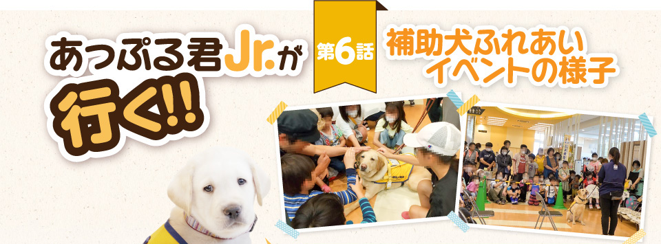 【あっぷる君Jr.が行く！】第6話 補助犬ふれあいイベントの様子