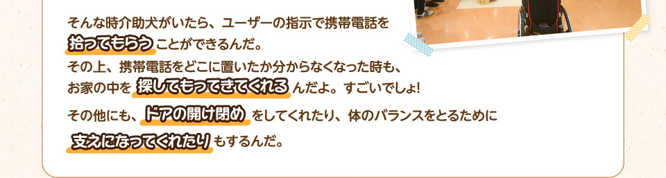 そんな時介助犬がいたら、ユーザーの支持で携帯電話を拾ってもらうことができるんだ。その上、携帯電話をどこに置いたか分からなくなった時も、お家の中を探してもってきてくれるんだよ。すごいでしょ！
        その他にも、ドアの開け閉めをしてくれたり、体のバランスをとるために支えになってくれたりもするんだ。
