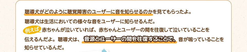聴導犬がどのように聴覚障害のユーザーに音を知らせるのかを見てもらったよ。
        聴導犬は生活においての様々な音をユーザーに知らせるんだ。
        例えば、赤ちゃんが泣いていれば、赤ちゃんとユーザーの間を往復して泣いていることを伝えるんだよ。聴導犬は、音源とユーザーの間を往復することで、音が鳴っていることを知らせているんだ。