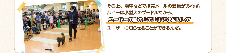 その上、電車などで携帯メールの受信があれば、ルビーは小型犬のプードルだから、ユーザーの膝の上で上手に小回りしてユーザーに知らせることができるんだ。