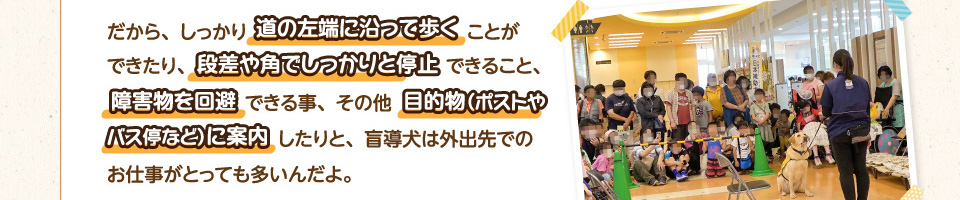 だから、しっかり道の左端に沿って歩くことができたり、段差や角でしっかりと停止できること、障害物を回避できる事、その他目的物（ポストやバス停など）に案内したりと、盲導犬は外出先でのお仕事がとっても多いんだよ。