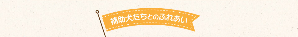 ## 補助犬たちとのふれあい