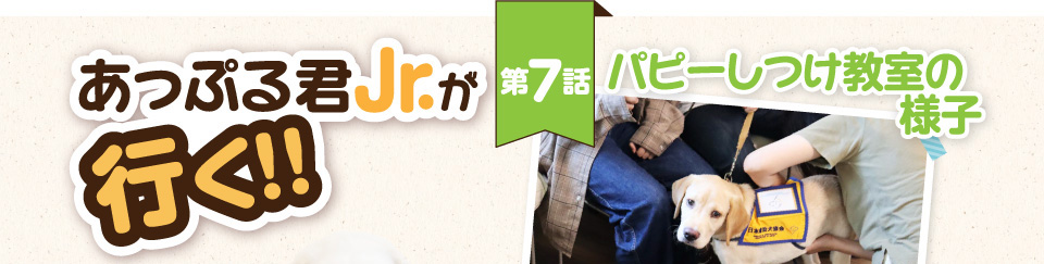 【あっぷる君Jr.が行く！】第7話 パピーしつけ教室の様子