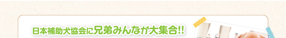 日本補助犬協会に兄弟みんなが大集合！！