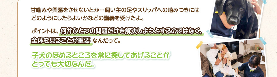 甘噛みや興奮をさせないとか…飼い主の足やスリッパへの噛みつきにはどのようにしたらよいかなどの講義を受けたよ。ポイントは、何かひとつの問題だけを解決しようとするのではなく、全体を見ることが重要なんだって。子犬のほめるところを常に探してあげることがとっても大切なんだ。
