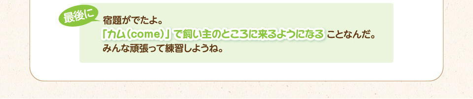 最後に宿題がでたよ。「カム（come）」 で飼い主のところに来るようになることなんだ。みんな頑張って練習しようね。