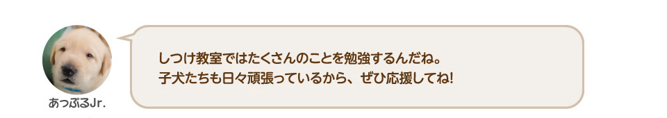 しつけ教室ではたくさんのことを勉強するんだね。子犬たちも日々頑張っているから、ぜひ応援してね！