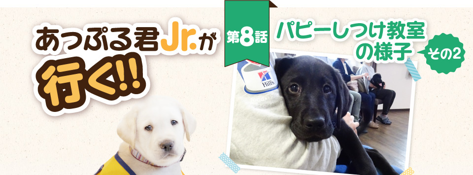 【あっぷる君Jr.が行く！】第8話 パピーしつけ教室の様子 その2