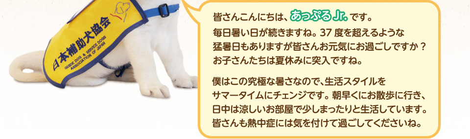 皆さんこんにちは、あっぷるJr.です。毎日暑い日が続きますね。37度を超えるような猛暑日もありますが皆さんお元気にお過ごしですか?お子さんたちは夏休みに突入ですね。僕はこの究極な暑さなので、生活スタイルをサマータイムにチェンジです。朝早くにお散歩に行き、日中は涼しいお部屋で少しまったりと生活しています。皆さんも熱中症には気を付けて過ごしてくださいね。