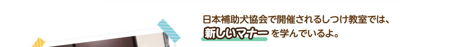 日本補助犬協会で開催されるしつけ教室では、新しいマナーを学んでいるよ。