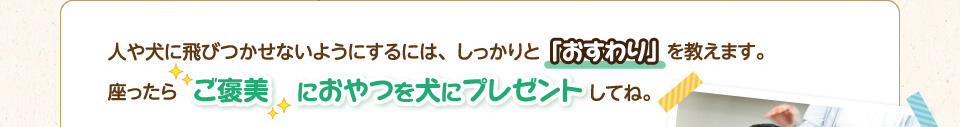 人や犬に飛びつかせないようにするには、しっかりと「おすわり」を教えます。→ 座ったらご褒美におやつを犬にプレゼントしてね。