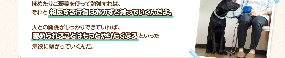 ほめたりご褒美を使って勉強すれば、それと相反する行為はおのずと減っていくんだよ。人との関係がしっかりできていれば、飼い主に褒められることはもっとやりたくなるといった意欲に繋がっていくんだ。