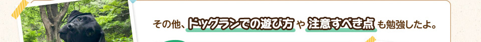 その他、ドッグランでの遊び方や注意すべき点も勉強したよ。