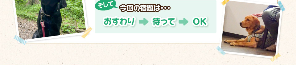そして今回の宿題は・・・おすわり → 待って → OK