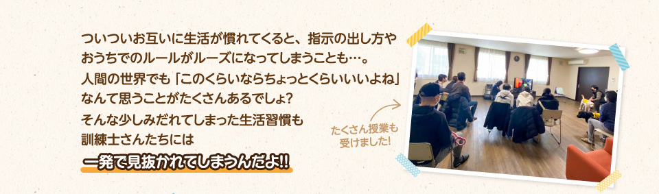 ついついお互いに生活が慣れてくると、指示の出し方やおうちでのルールがルーズになってしまうことも・・・。人間の世界でも「このくらいならちょっとくらいいいよね」なんて思うことがたくさんあるでしょ？そんな少しみだれてしまった生活習慣も訓練士さんたちには一発で見抜かれてしまうんだよ!!