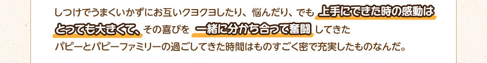 しつけでうまくいかずにお互いクヨクヨしたり、悩んだり、でも上手にできた時の感動はとっても大きくてその喜びを一緒に分かち合って奮闘してきたパピーとパピーファミリーの過ごしてきた時間はものすごく密で充実したものなんだ。