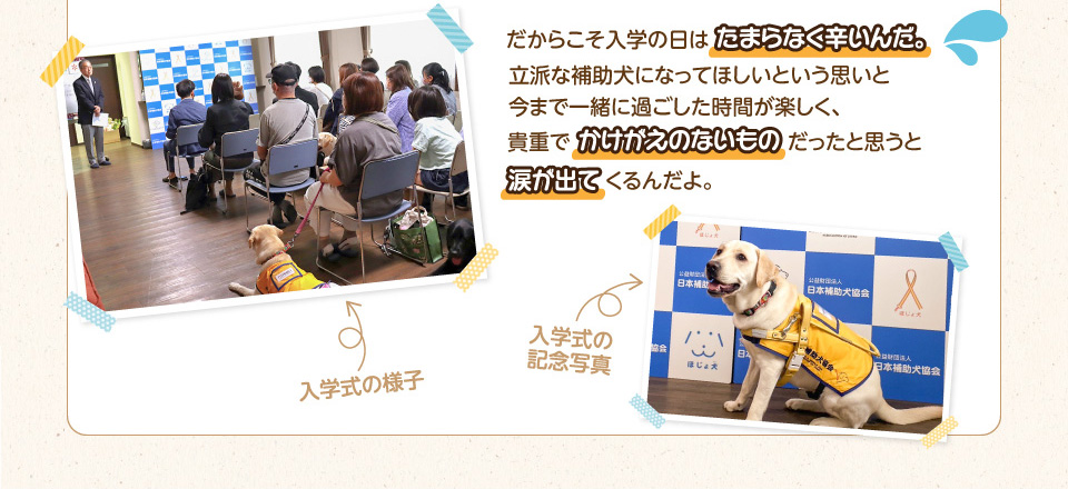 だからこそ入学の日はたまらなく辛いんだ。立派な補助犬になってほしいという思いと今まで一緒に過ごした時間が楽しく、貴重でかけがえのないものだったと思うと涙が出てくるんだよ。