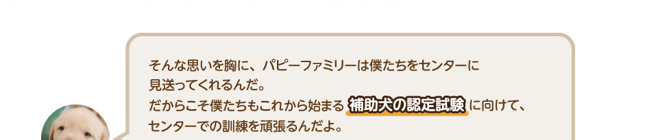 そんな思いを胸に、パピーファミリーは僕たちをセンターに見送ってくれるんだ。
        だからこそ僕たちもこれから始まる補助犬の認定試験に向けて、センターでの訓練を頑張るんだよ。