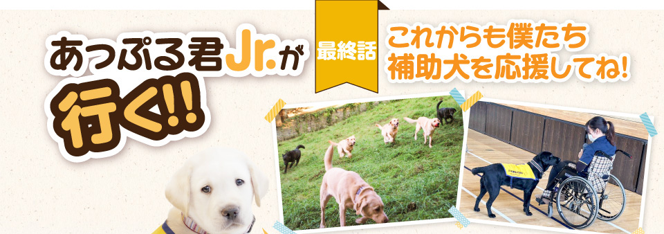 【あっぷる君Jr.が行く！】最終話 これからも僕たち補助犬を応援してね！
