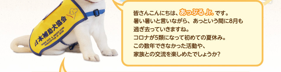 皆さんこんにちは、あっぷるJr.です。暑い暑いと言いながら、あっという間に8月も過ぎ去っていきますね。コロナが5類になって初めての夏休み。この数年できなかった活動や、家族との交流を楽しめたでしょうか?