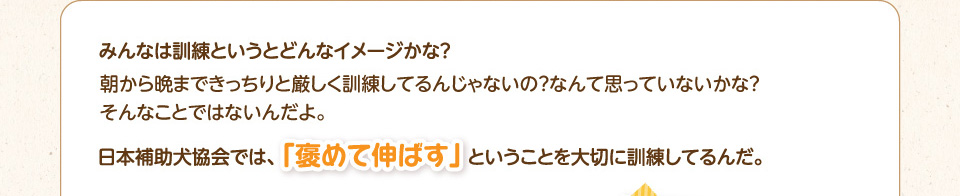 みんなは訓練というとどんなイメージかな?朝から晩まできっちりと厳しく訓練してるんじゃないの?なんて思っていないかな?そんなことではないんだよ。日本補助犬協会では、「褒めて伸ばす」ということを大切に訓練してるんだ。