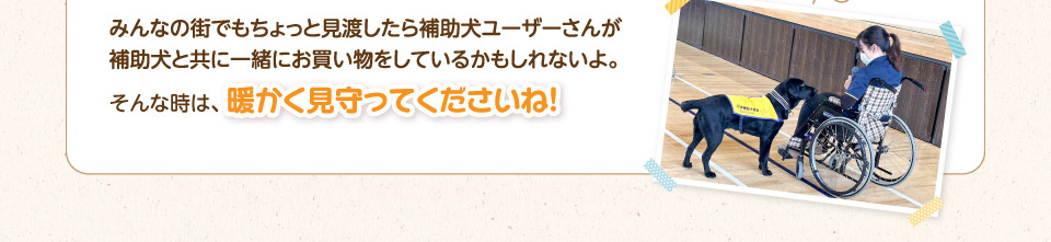 みんなの街でもちょっと見渡したら補助犬ユーザーさんが補助犬と共に一緒にお買い物をしているかもしれないよ。そんな時は、暖かく見守ってくださいね!